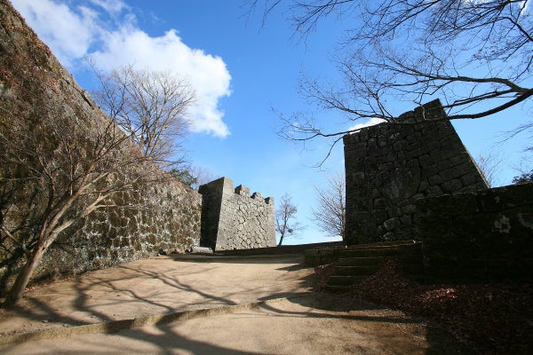 【博多駅発】 《日本100名城めぐり》九州編 その2 ~大分・熊本・宮崎・鹿児島~2